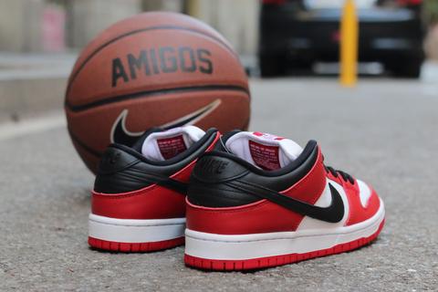 Nike Sb Dunk Low Pro 